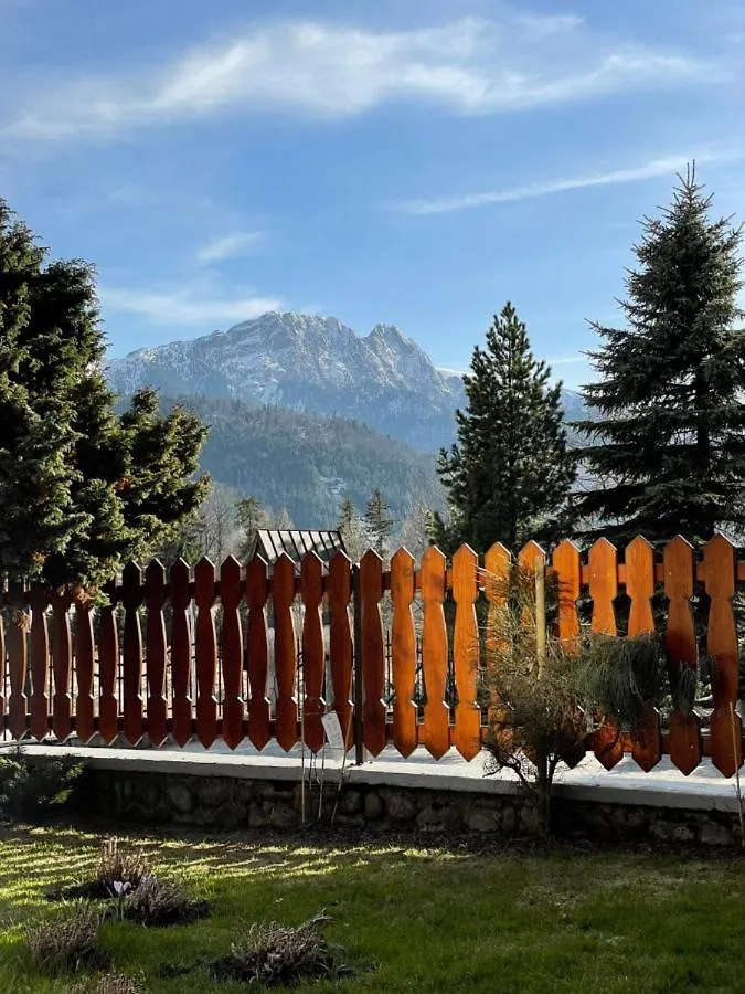 Tatry Apartments - Panorama Zakopane&4 Polen